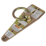 Guardian - BULL RING ANCHOR