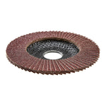 WARRIOR - 4-1/2 in. x 7/8 in. 80-Grit Type 27 Flap Disc with Fiberglass Backing and Aluminum Oxide Grain