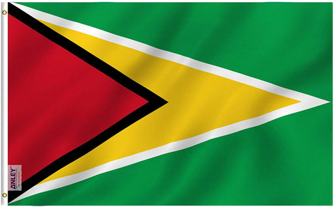 Anley Fly Breeze Series - Guyana Polyester Flag - 3' x 5'